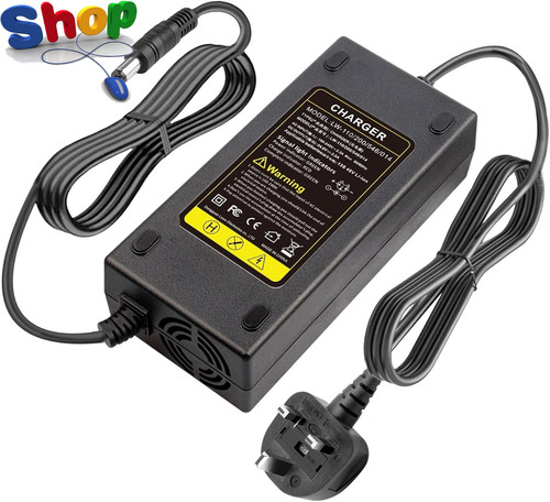 Electric bike lithium - 2a,